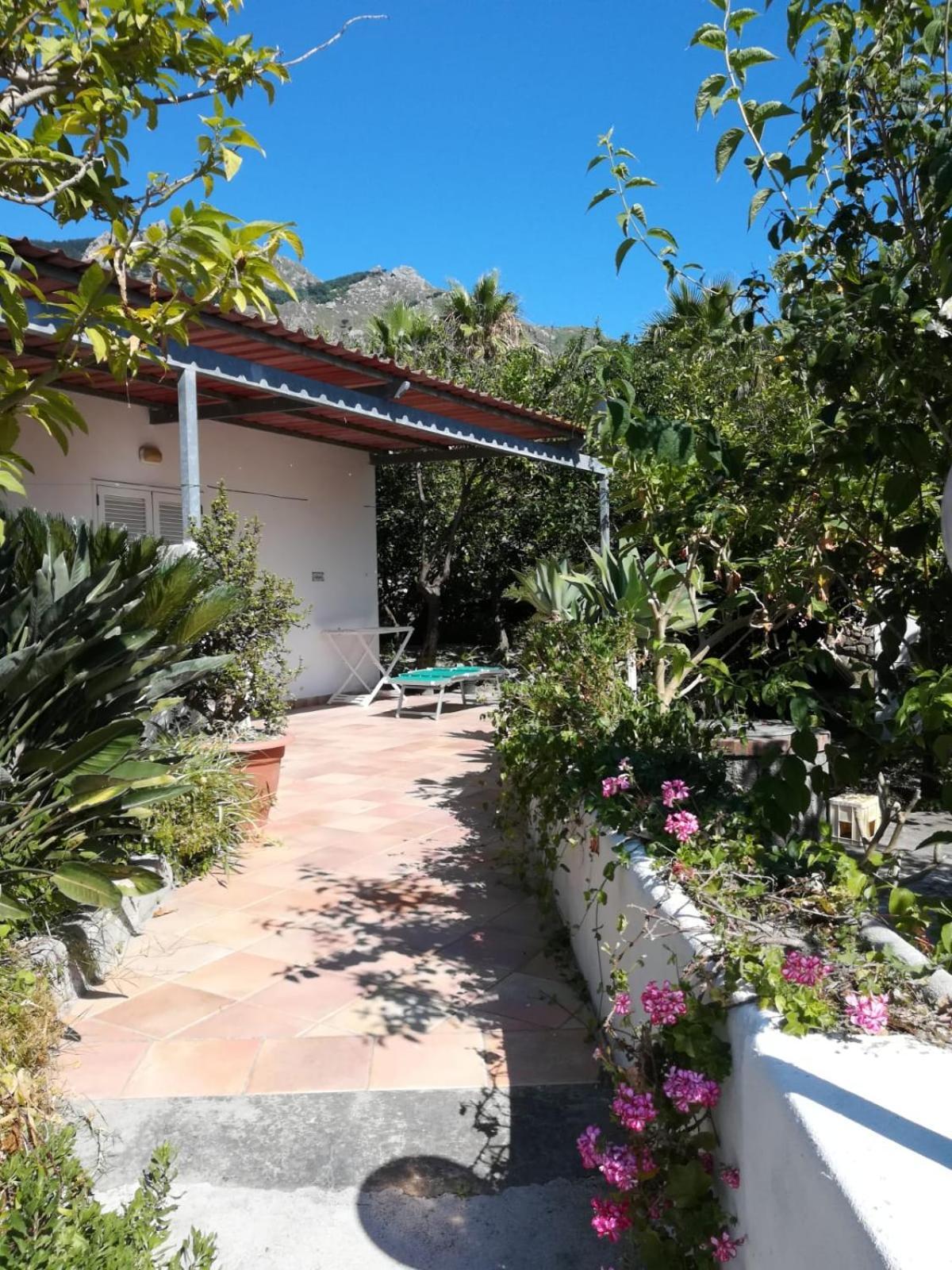 Residence Limoneto Ischia Forio di Ischia Kültér fotó