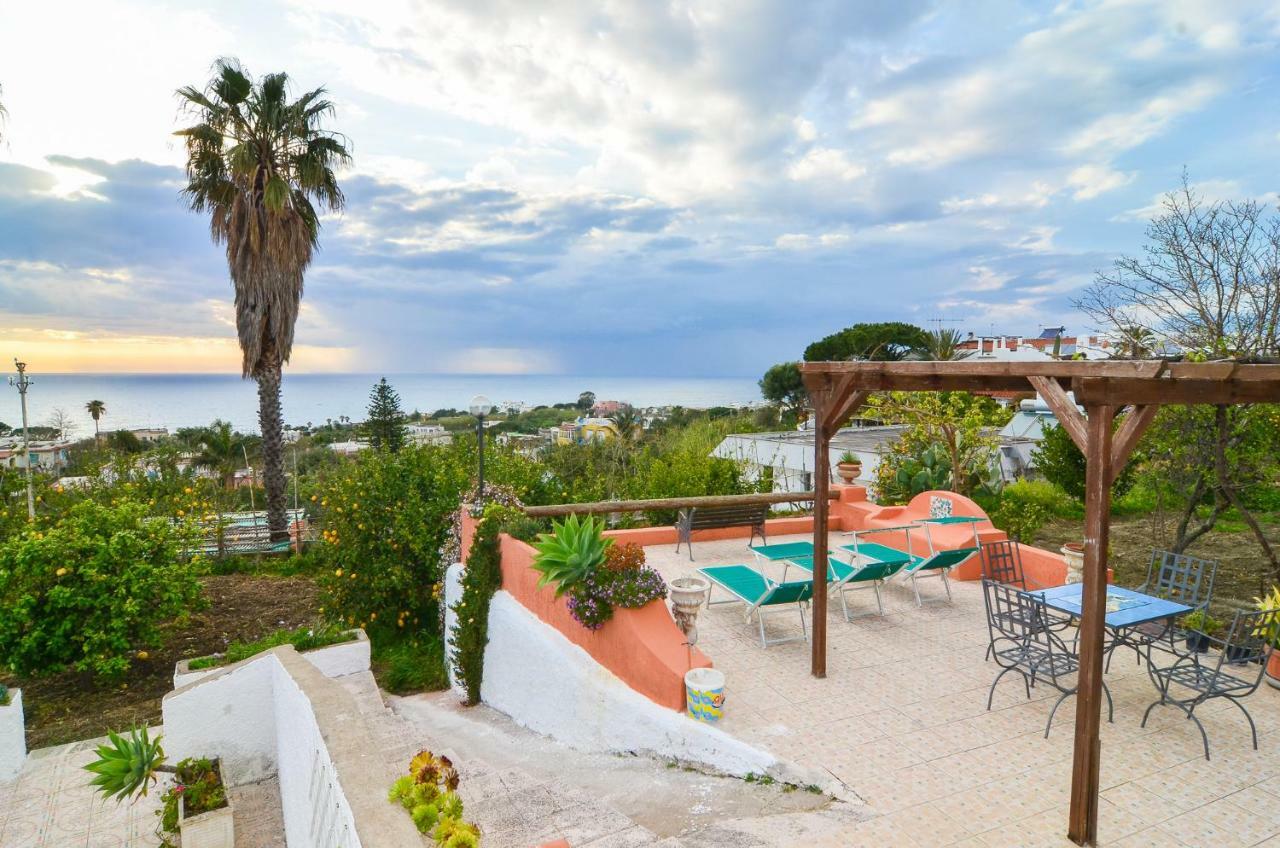 Residence Limoneto Ischia Forio di Ischia Kültér fotó