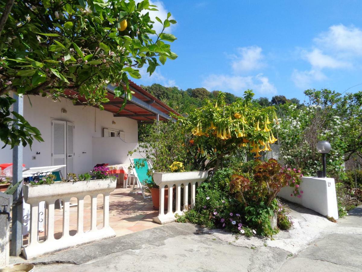 Residence Limoneto Ischia Forio di Ischia Kültér fotó