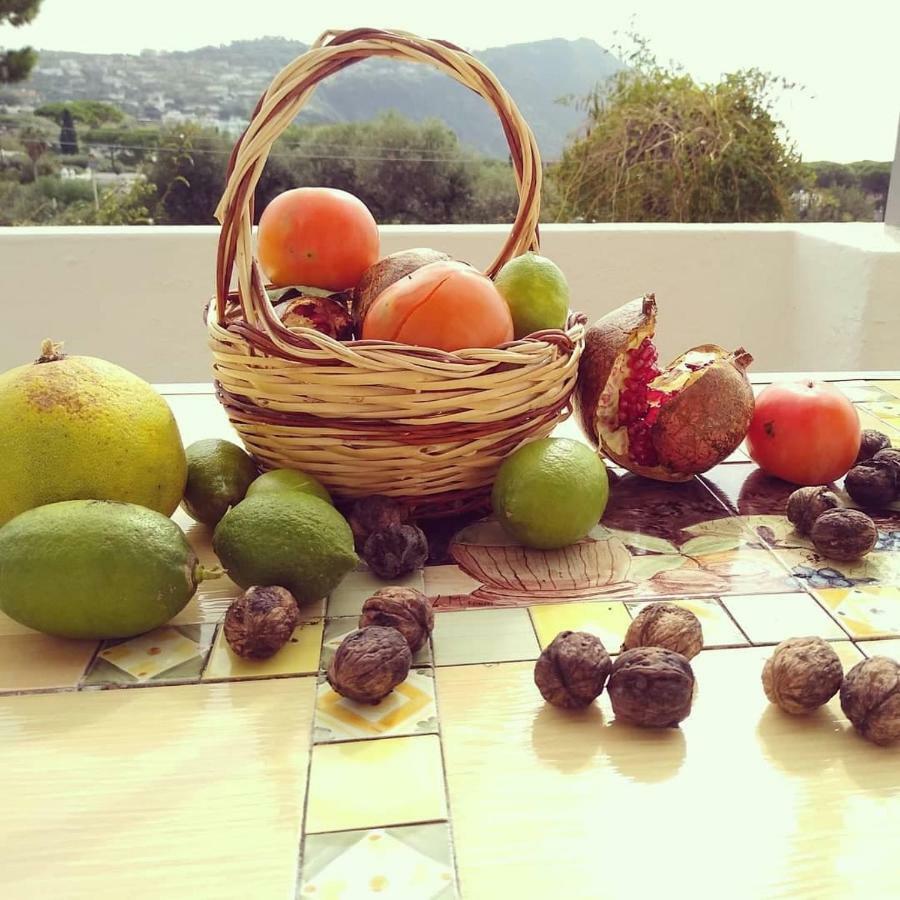 Residence Limoneto Ischia Forio di Ischia Kültér fotó