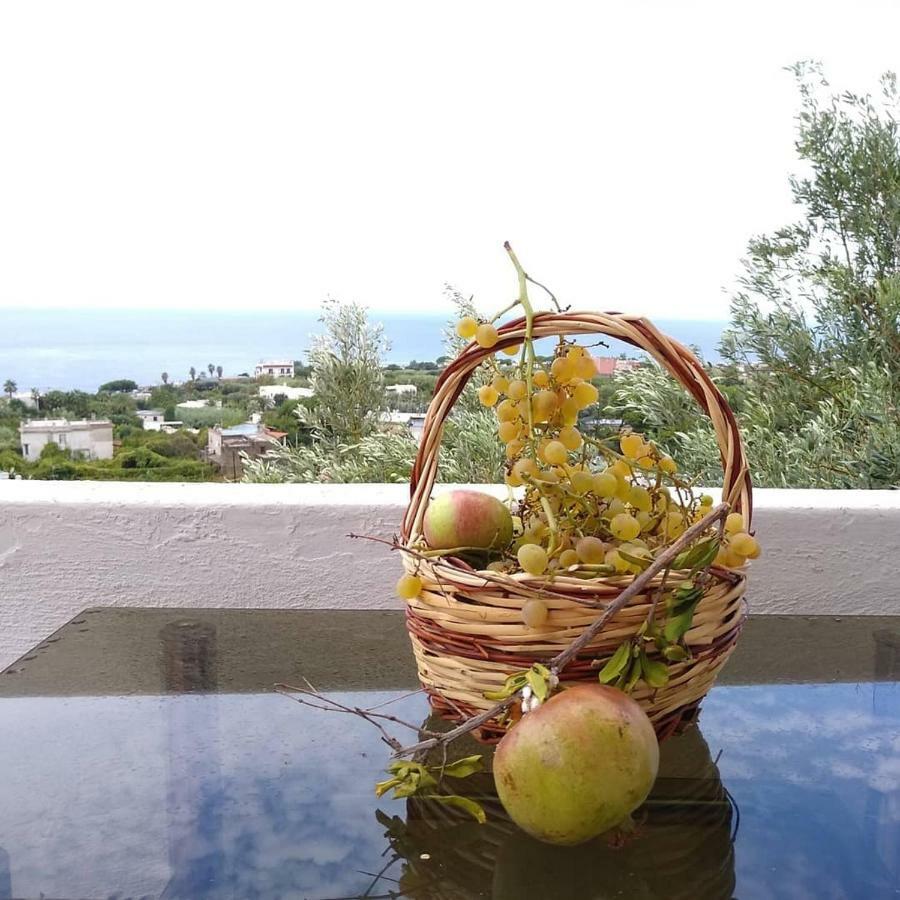 Residence Limoneto Ischia Forio di Ischia Kültér fotó