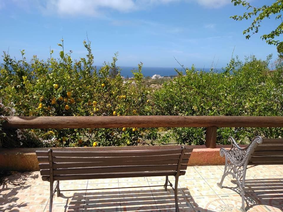 Residence Limoneto Ischia Forio di Ischia Kültér fotó